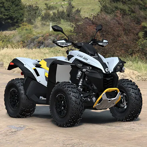 Quad Can-Am Renagade X XC 650 T