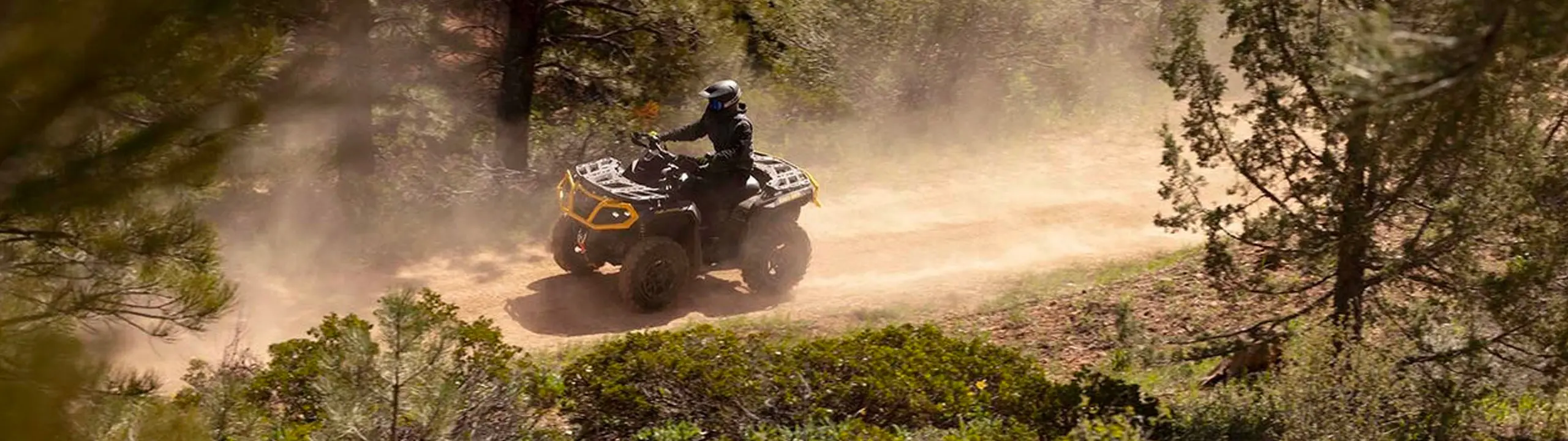 Concessionario autorizzato quad can-am